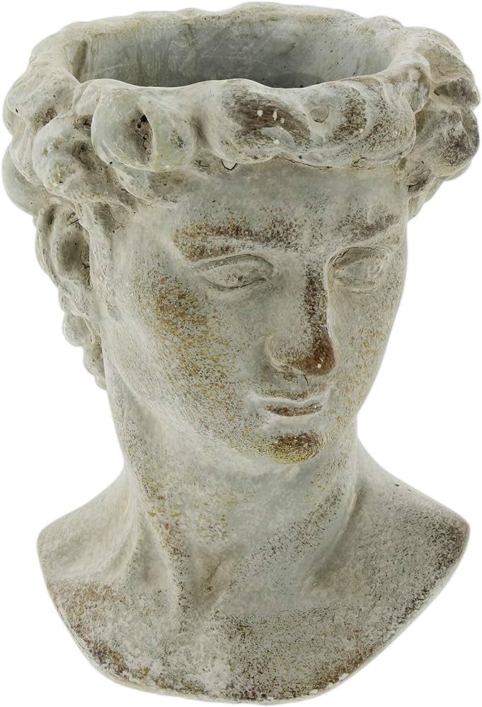 The Bridge Collection Antique Style Old World Greek Statue Head Cement Face Planter Pot | Amazon (US)