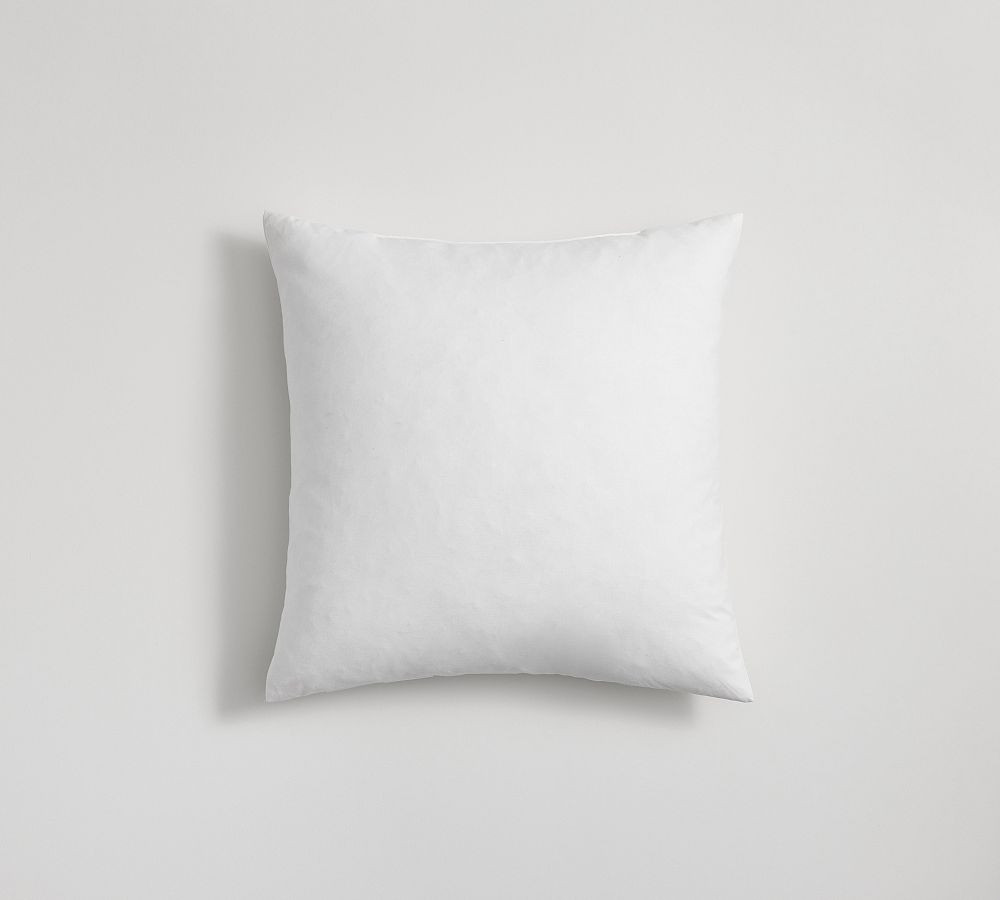 Down Feather Pillow Insert, 20"", | Pottery Barn (US)