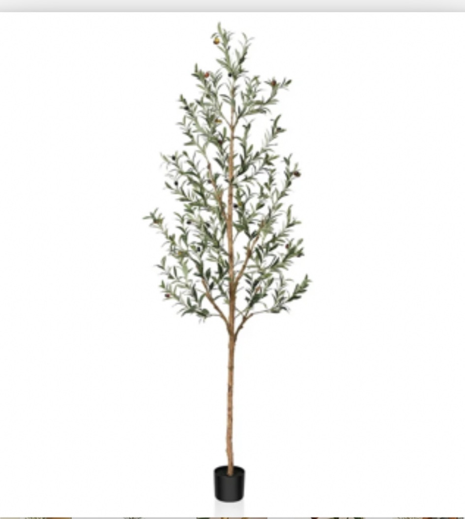 Olive Tree 

#LTKSaleAlert #LTKFindsUnder50 #LTKHome