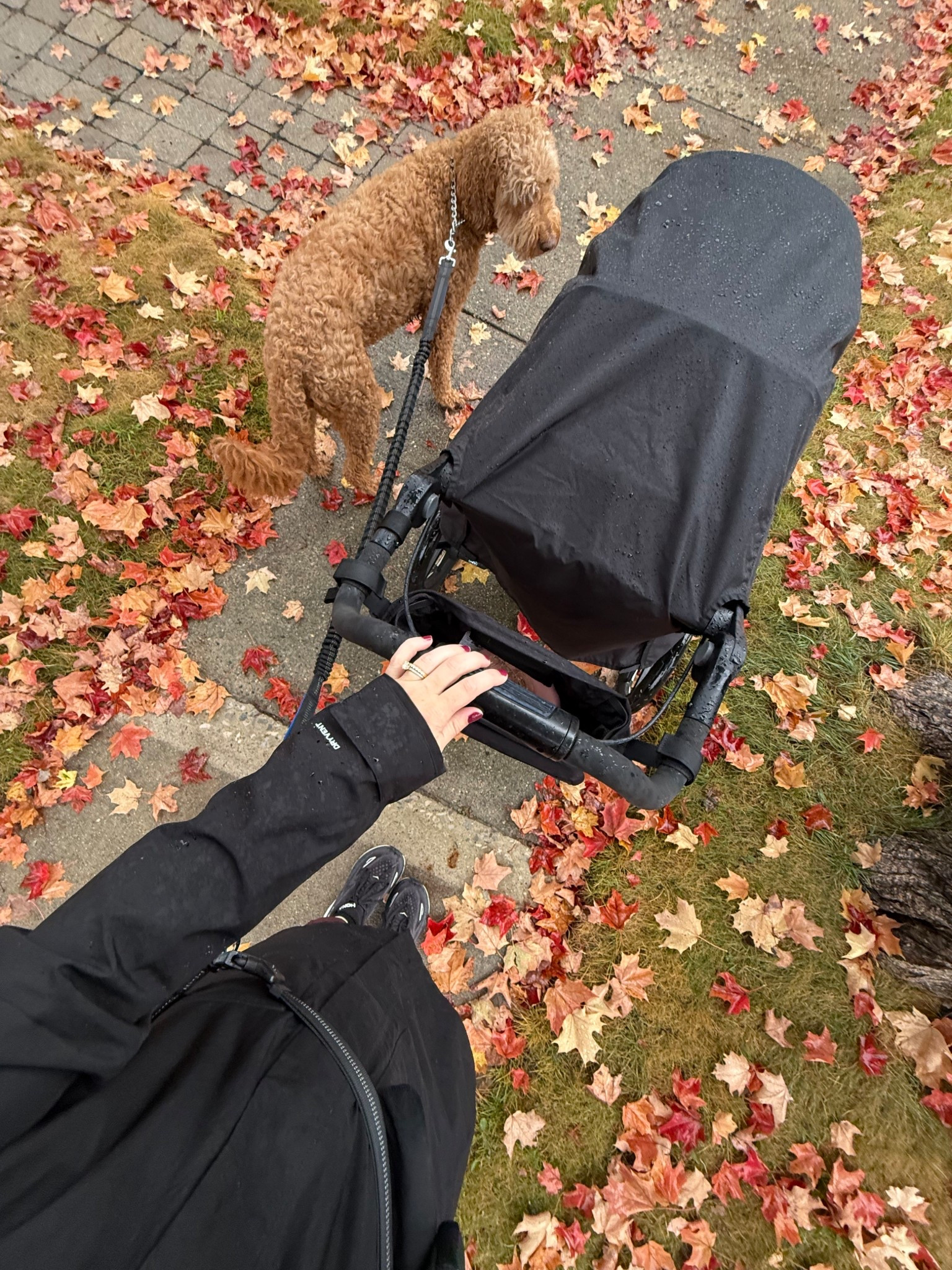 fall is in full swing! i love this jacket for rainy days 🧡

#LTKBaby #LTKBump #LTKPets