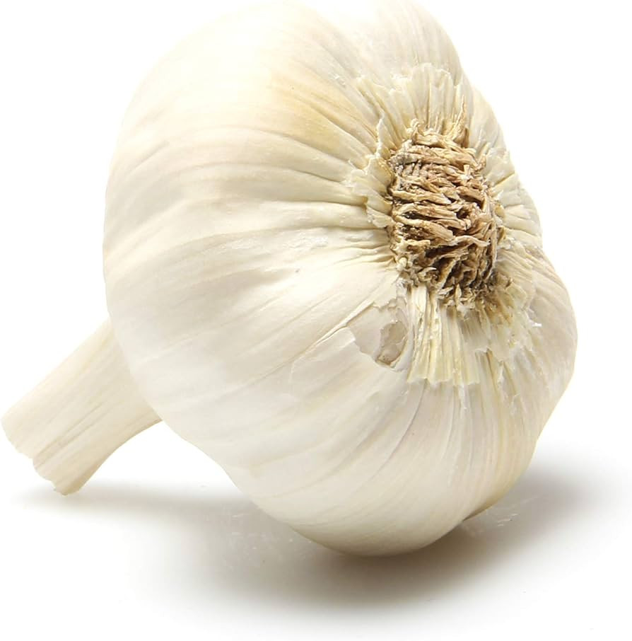 Organic Garlic | Amazon (US)