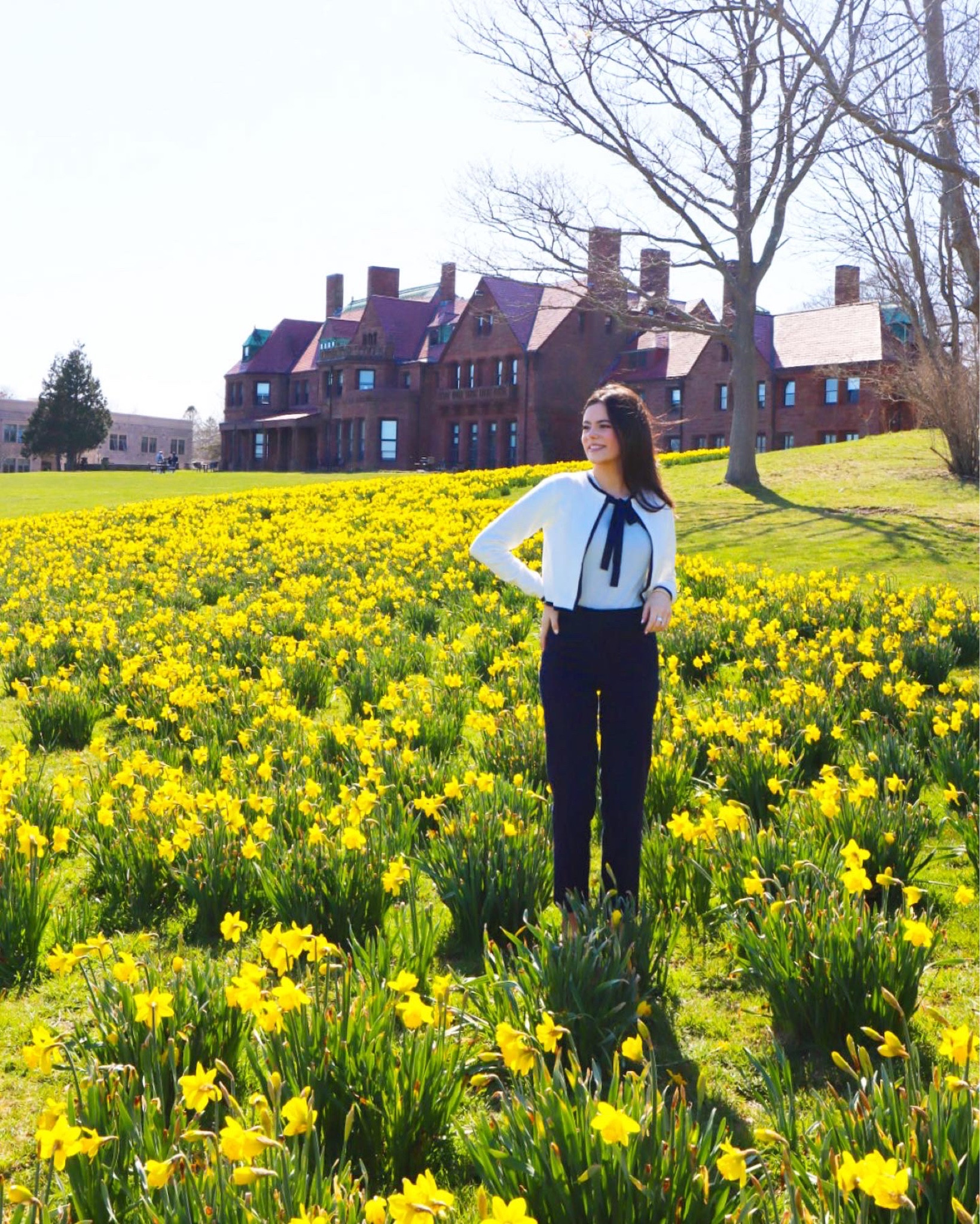 Daffodil Days🌼🌼🌼