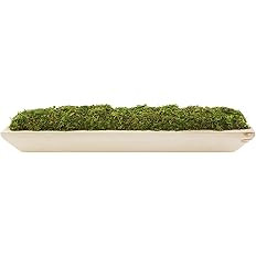 Mud Pie Preserved Moss Paulownia Tray, Natural, 5 3/4" x 25 3/4" | Amazon (US)