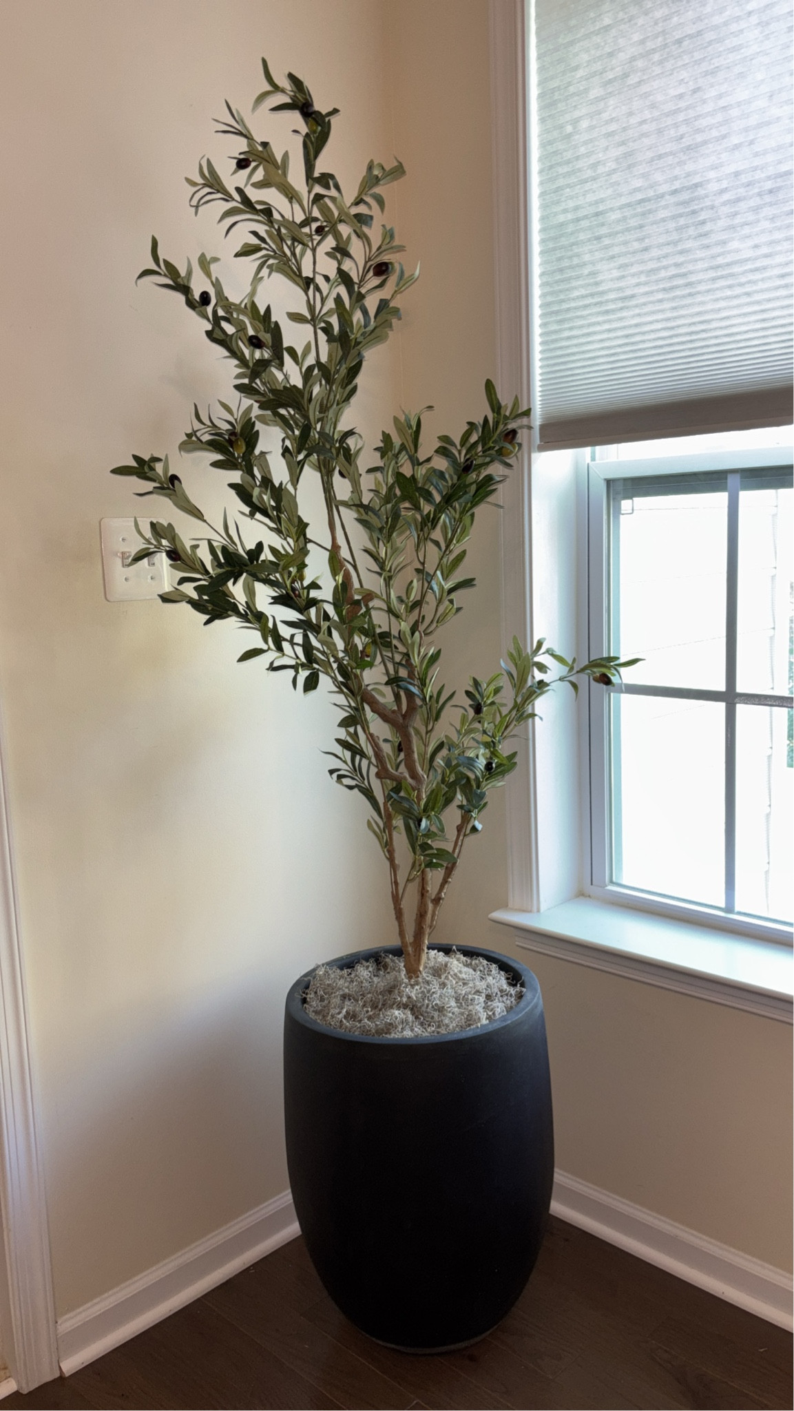 Add life to any room with a faux plant 🥰

#LTKHome #LTKFamily