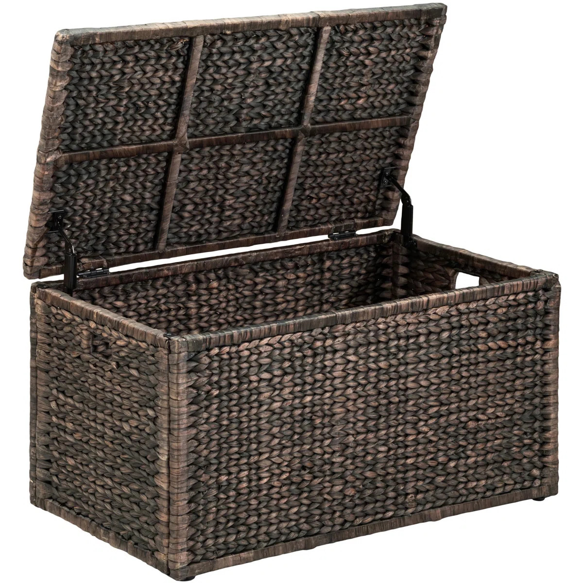 Ved Heavy-duty Water Hyacinth Wicker Storage Trunk with Metal Frame | Wayfair North America