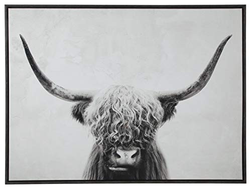 Signature Design by Ashley - Pancho Highland Cow Wall Art - Framed Canvas - Black/White | Amazon (CA)