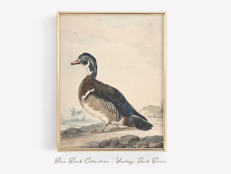 A Duck  Vintage Duck Print  Duck Nursery  Duck Lover Gift  - Etsy | Etsy (US)