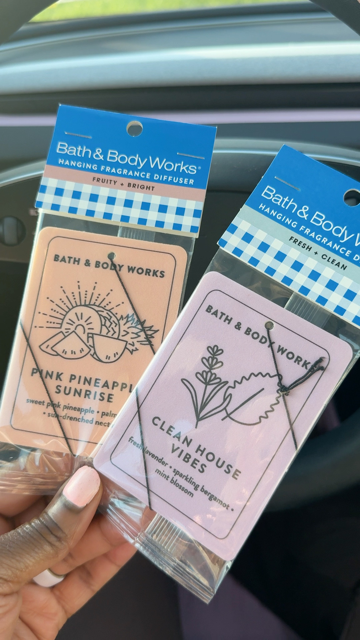 My favorite Bath and Body works air fresheners for spring and summer 🩷🌸💐

#LTKvlog #LTKU #LTKTravel