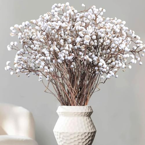 220g Tallow Berries Dried Christmas Decor- 17" Natural Stem Wedding Floral Decor, White Holly Tal... | Amazon (US)