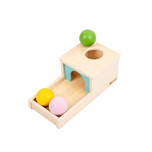 Adena Montessori Wooden Toy for 6-12 Month Baby 3 Balls,Sorting and Stacking Colorful Learning Education Toy for Toddler Kid 1-2 Year Old, Preschool Developmental Girl and Boy Gift | Amazon (US)