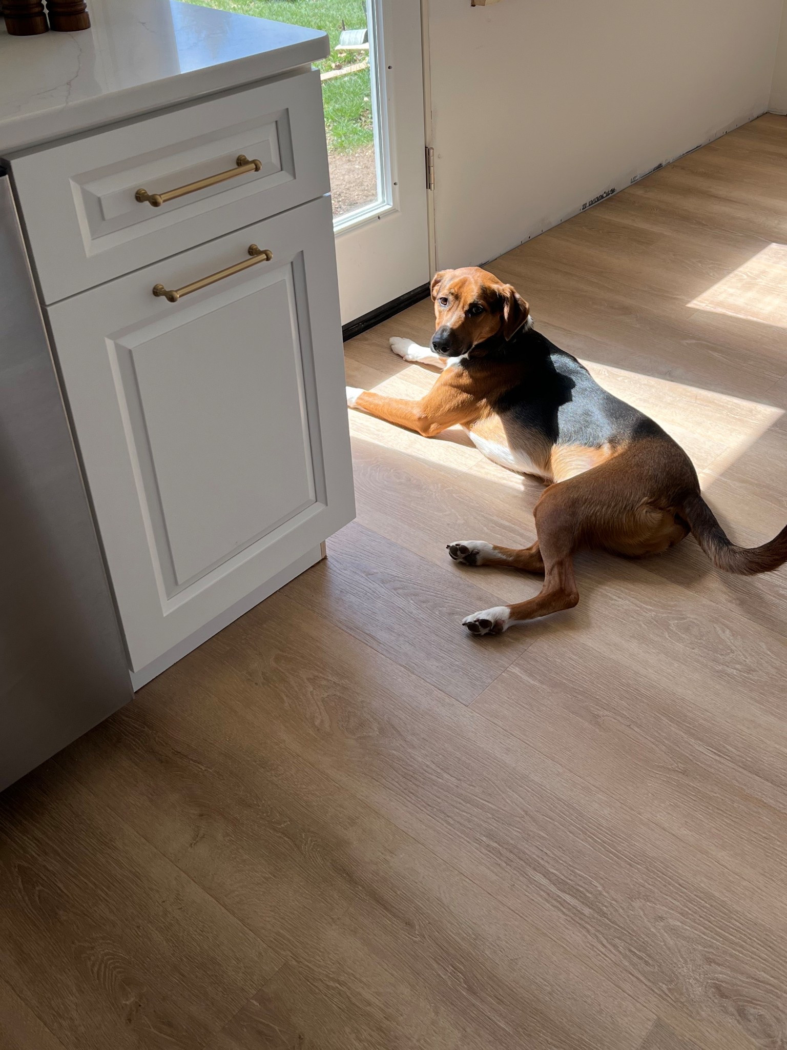 lifeprood luxury vinyl flooring!! Waterproof and extreme scratch resistant, perfect for our doggy!! 

#LTKHome #LTKU #LTKPets