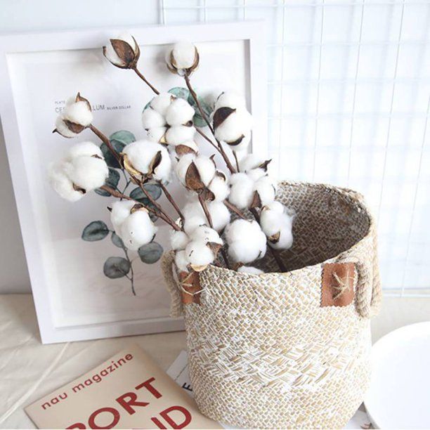 Cotton Stems Farmhouse Style Display for Floral, Wedding and Fall Decor - 21 Inch Picks with 10 W... | Walmart (US)