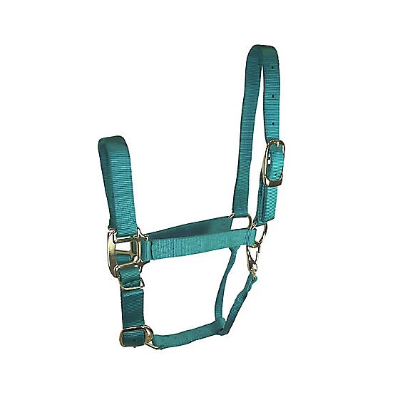 DuMOR  Nylon Premium Horse Halter | Tractor Supply