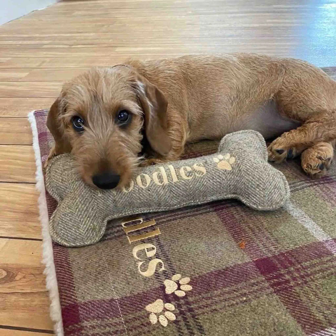 Mini Bone Dog Toys, Personalised Puppy Toys - Etsy UK | Etsy (US)