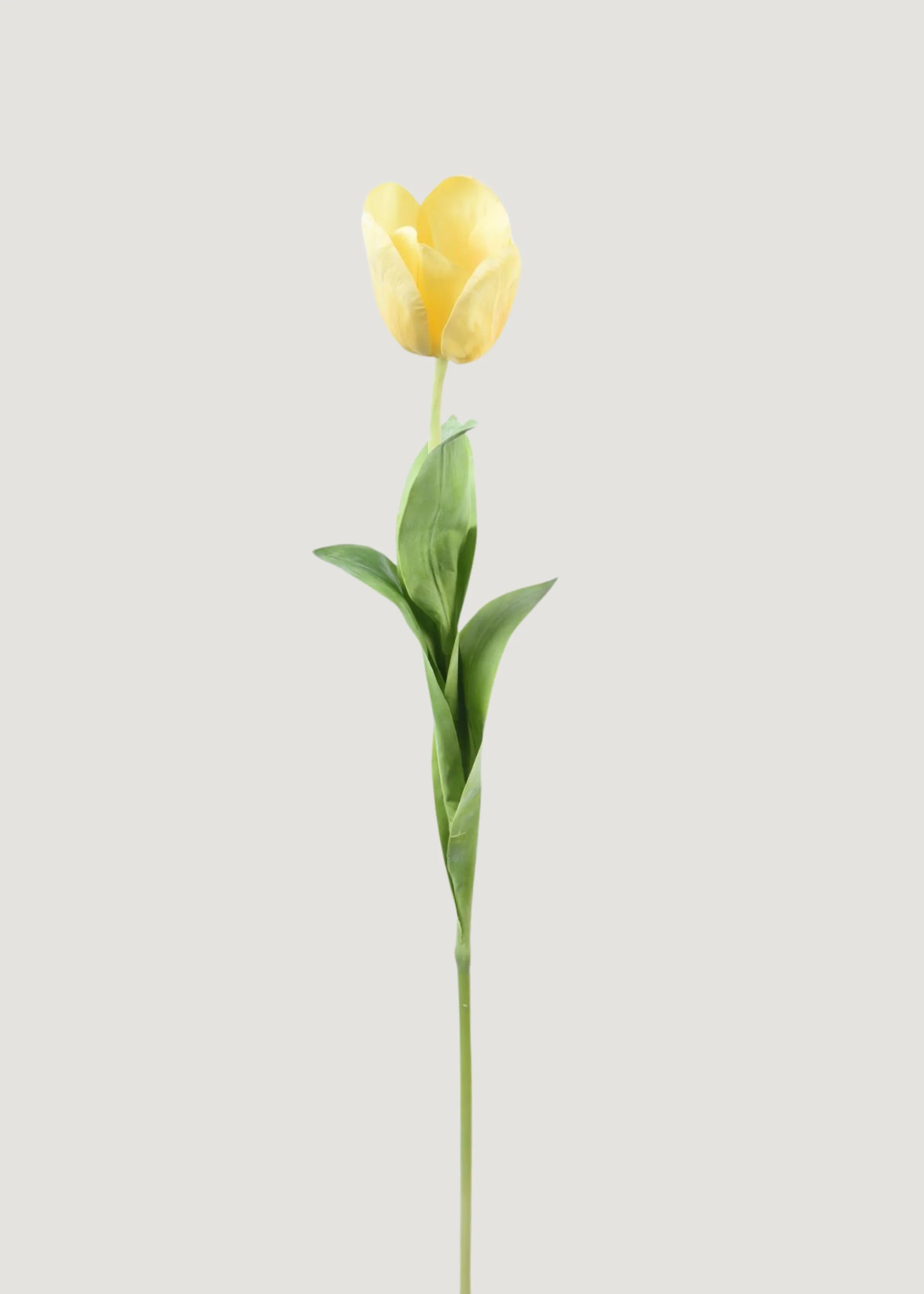 Real Touch Tulip Stem in Yellow | Artificial Spring Flowers | Afloral | Afloral