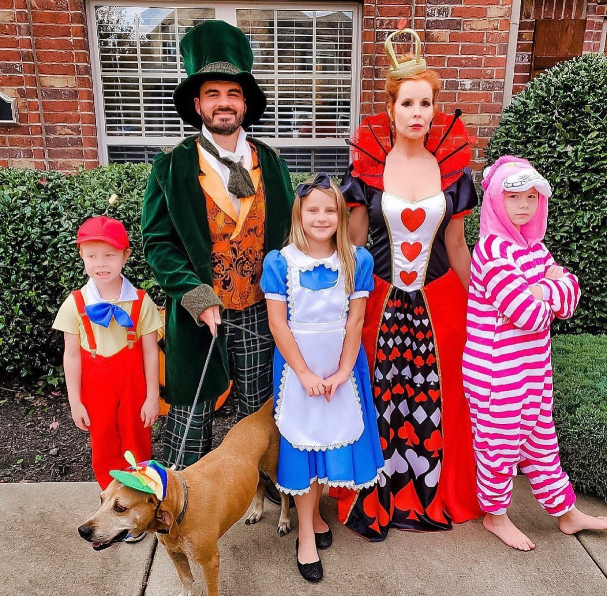 Family costumes, Halloween costumes, costume party, trick or treat, amazon finds 

#LTKSeasonal #LTKHalloween #LTKfamily