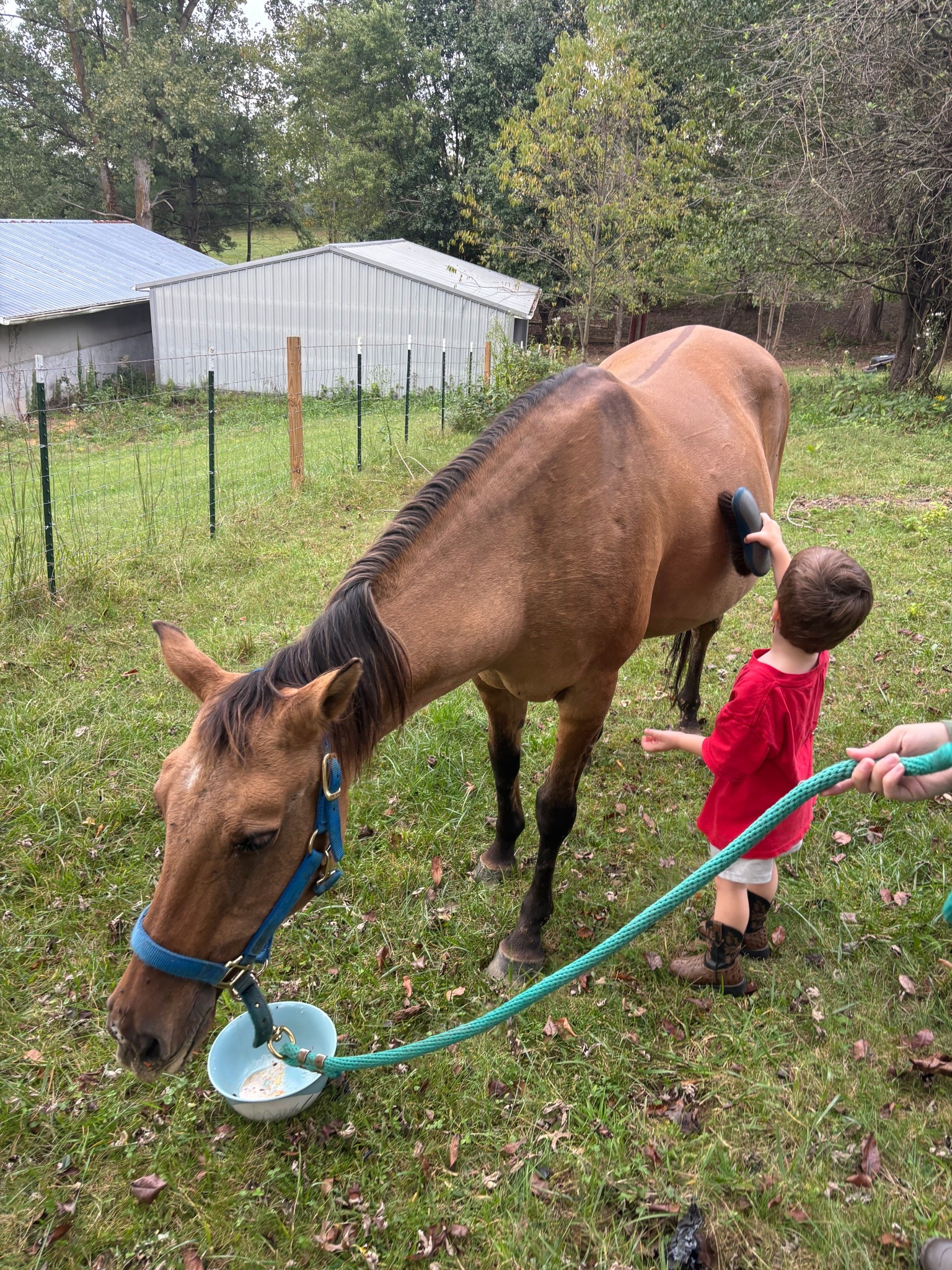 Learning about all things horses! The greatest joy of my heart is teaching my boys! Especially sharing my hobbies with them! We give so much up as moms and it’s so fun to bring them into the things I love

#LTKBaby #LTKPets #LTKKids
