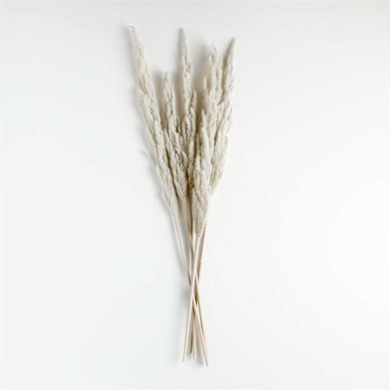 Grass Plume Dried Botanicals + Reviews | Crate & Barrel | Crate & Barrel