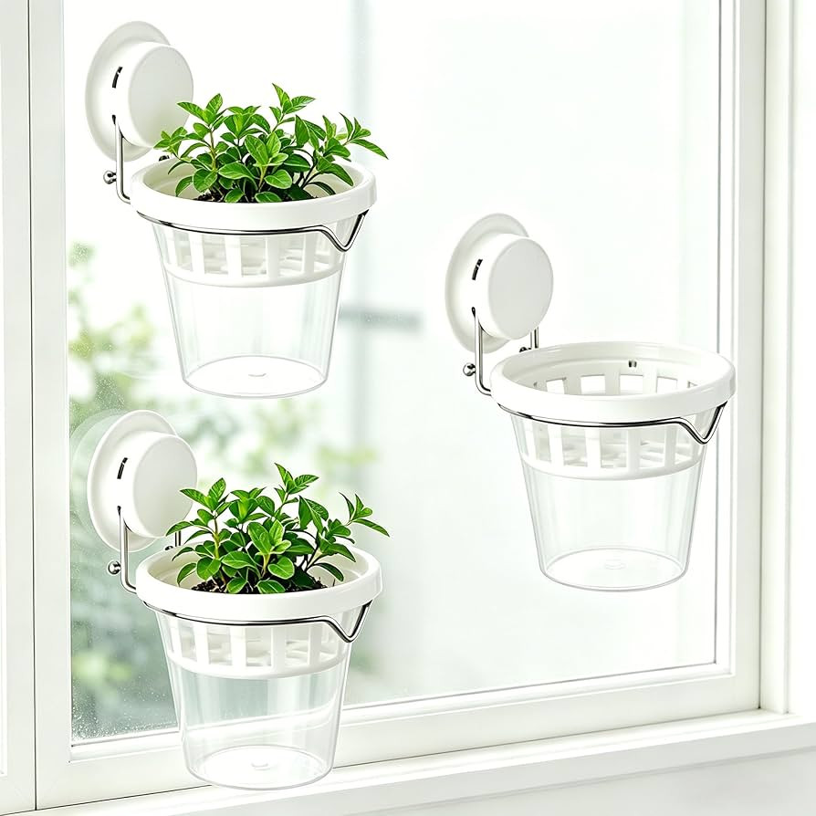 Set of 3 Plastic Window Planter with Suction Cup Holder. Large Window Popagation. Clear Self Wate... | Amazon (US)