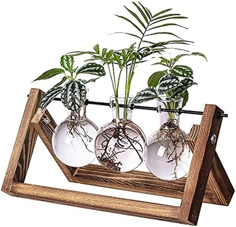 Kingbuy Glass Desktop Planter with Retro Wooden Stand and Plant Terrarium Vase (3 Bulbs) for Indoor  | Amazon (US)