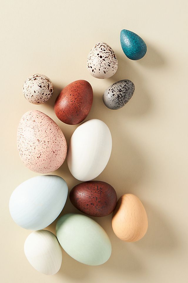 A Dozen Bird Eggs in a Box Set | Anthropologie (US)