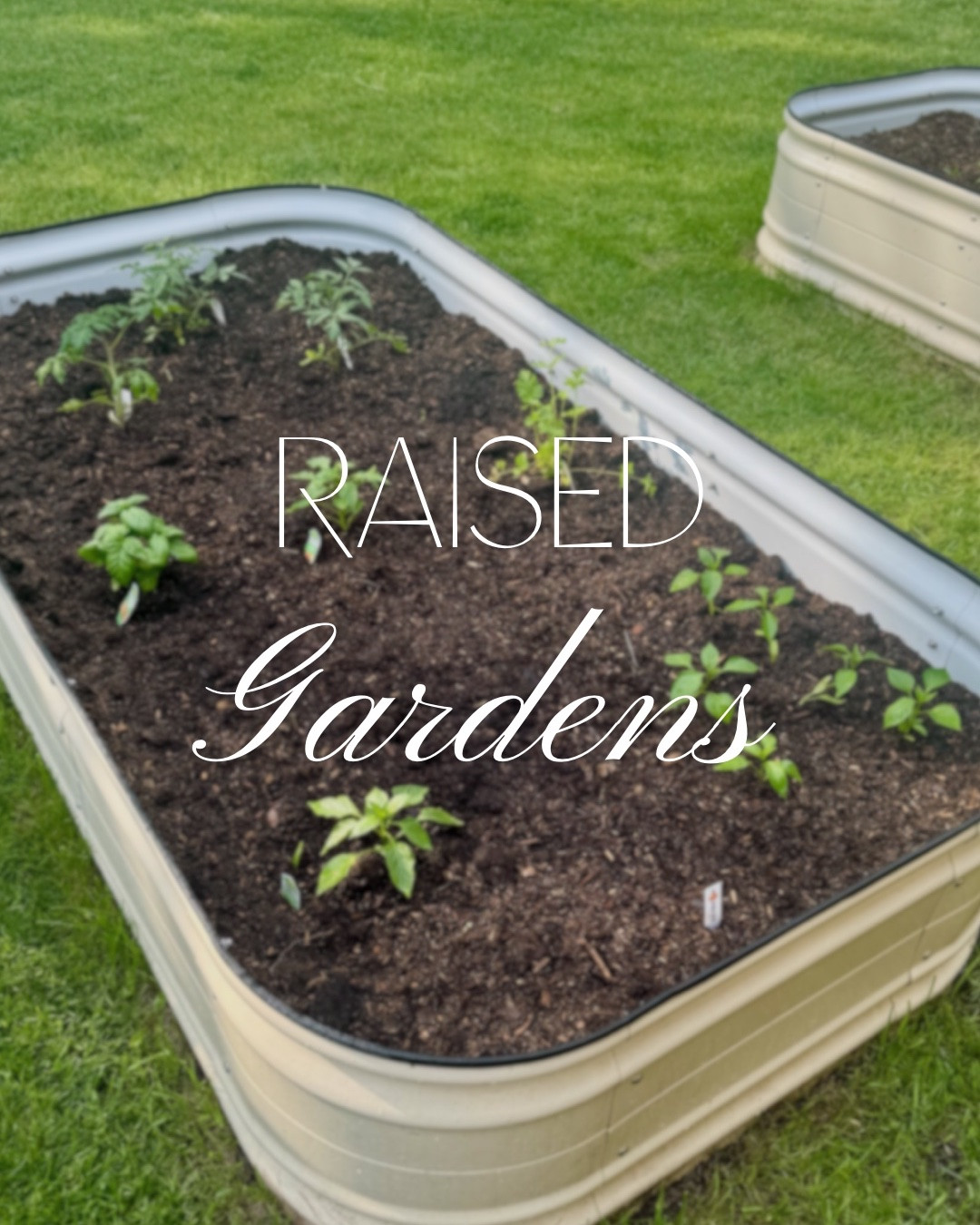We LOVE our Vego Garden beds because they’re raised (so much easier on your back), look beautiful, have amazing drainage, and make gardening feel so organized and manageable. 

Plus…they last for years! 👏

#LTKSeasonal #LTKHome