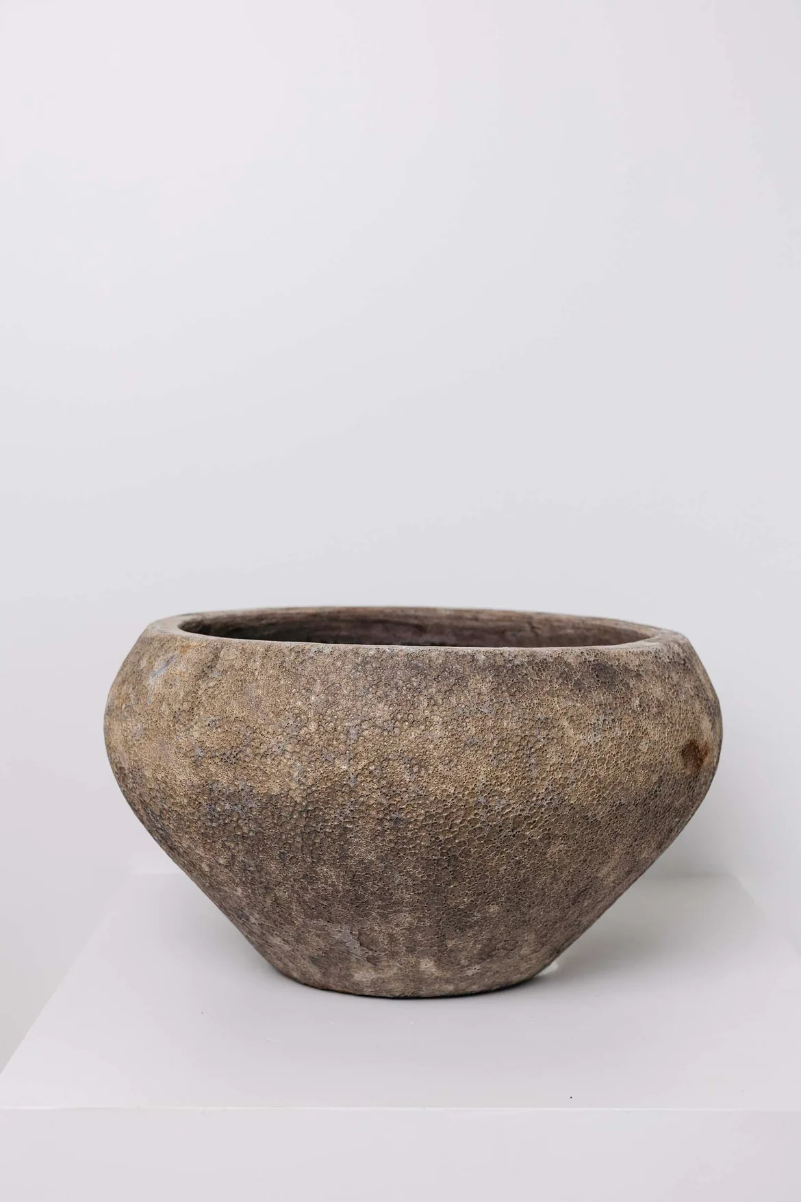 Roni Planter | THELIFESTYLEDCO