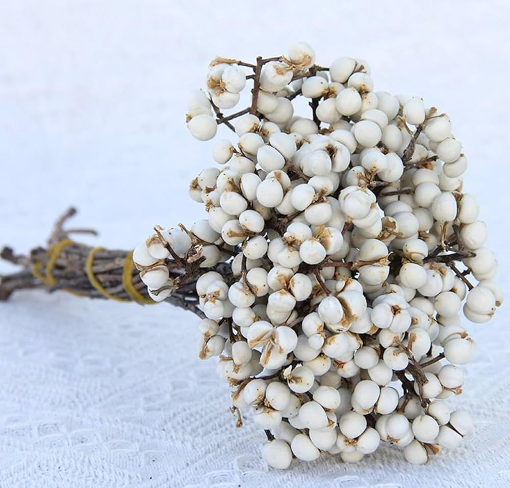 Natural Dried Tallow Berries, Holly Tallow Berries, Dried Plants Floral Decor, Natural Berry Stem... | Amazon (US)