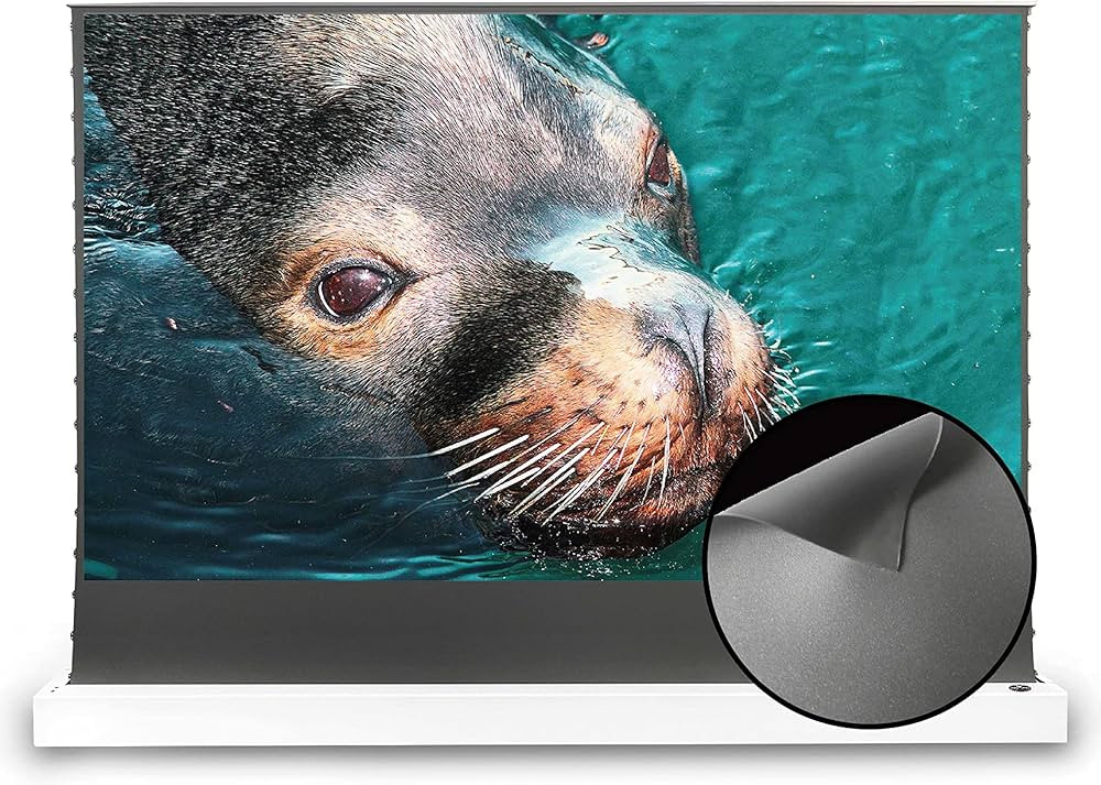 Long Focus Ambient Light Rejecting Motorized Floor-Rising Screen from VIVIDSTORM, White housing,C... | Amazon (US)