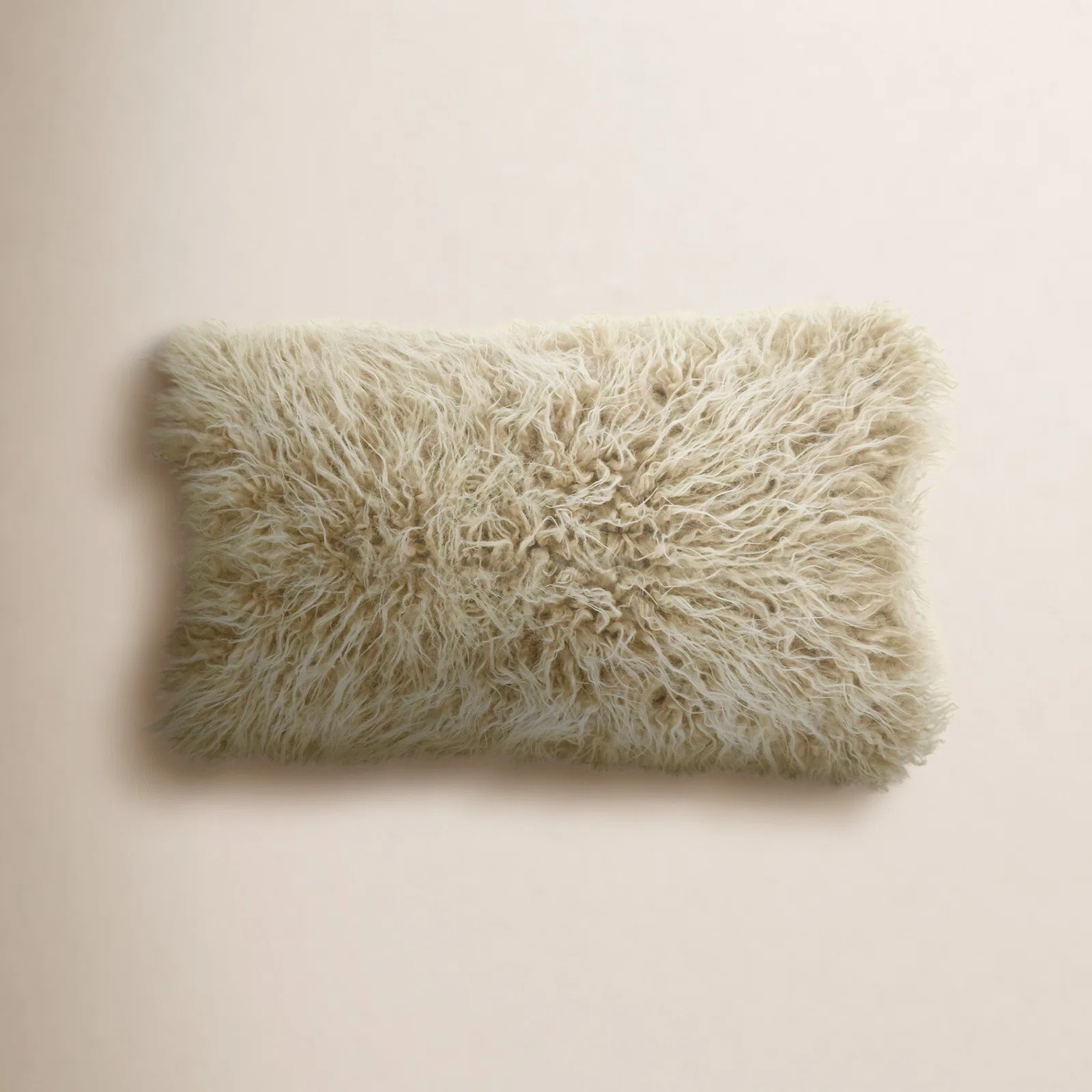 Rectangular Faux Fur Pillow Cover & Insert | Wayfair North America