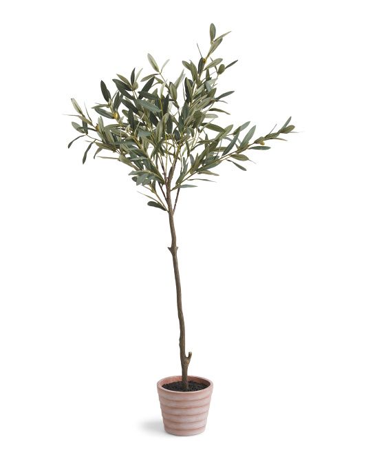 48in Outdoor Olive Tree | Plants & Planters | Marshalls | Marshalls