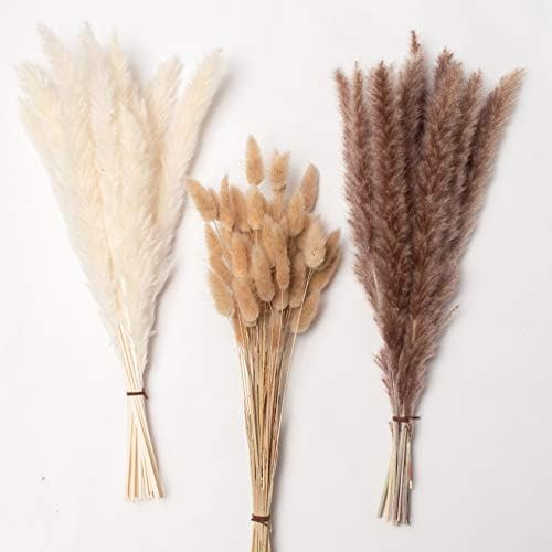 Total 80 Pcs, 17" Set | 30 Pcs White Pampas and Natural Dried Pampas Grass,50 Pcs Natural Rabbit Tai | Amazon (US)