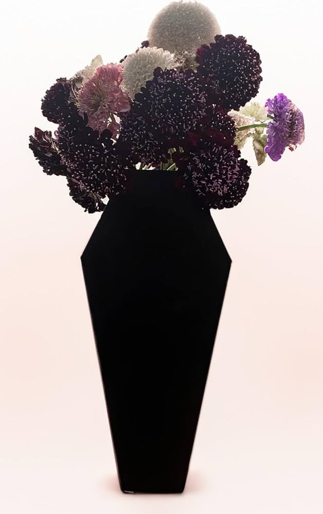 Decorative Black Coffin Shaped Flower Vase, 9 x 4 inches | Amazon (US)