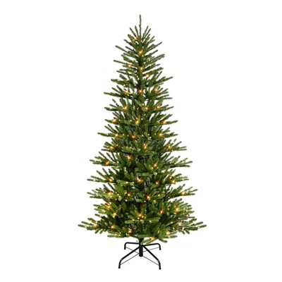 Green Spruce Christmas Tree with Lights | AllModern