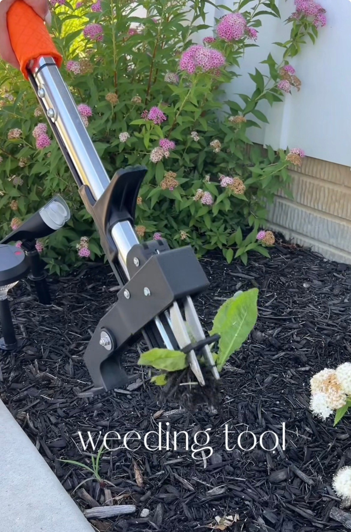The BEST tool in the garden! This removes weeds like a breeze. No more picking by hand, it’s that good! 

#LTKHome #LTKSeasonal