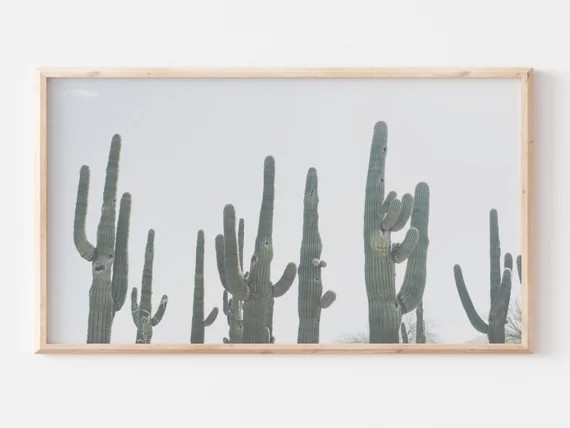 Samsung Frame TV Art  Modern Cactus Photo  Neutral  | Etsy | Etsy (US)