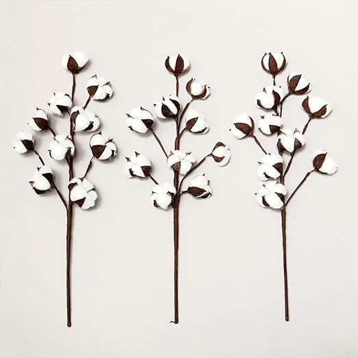 VGIA 3 Pack 21 Inch Cotton Stems Farmhouse Style Display Filler - Floral Decoration | Amazon (US)