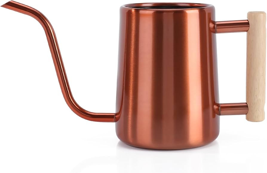Watering Can Indoor Plants, 35 oz/1000 ml Metal Stainless Steel Watering Can Pot with Long Spout ... | Amazon (US)