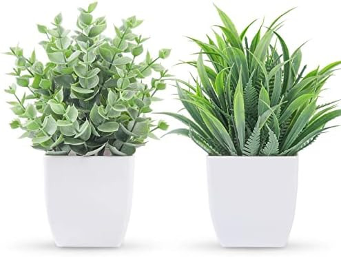Der Rose 2 Pack Small Fake Plants Mini Artificial Potted Plants for Table Desk Home Laundry Room ... | Amazon (US)