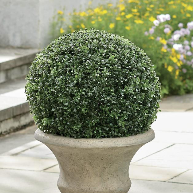 Boxwood Ball Topiary | Grandin Road | Grandin Road