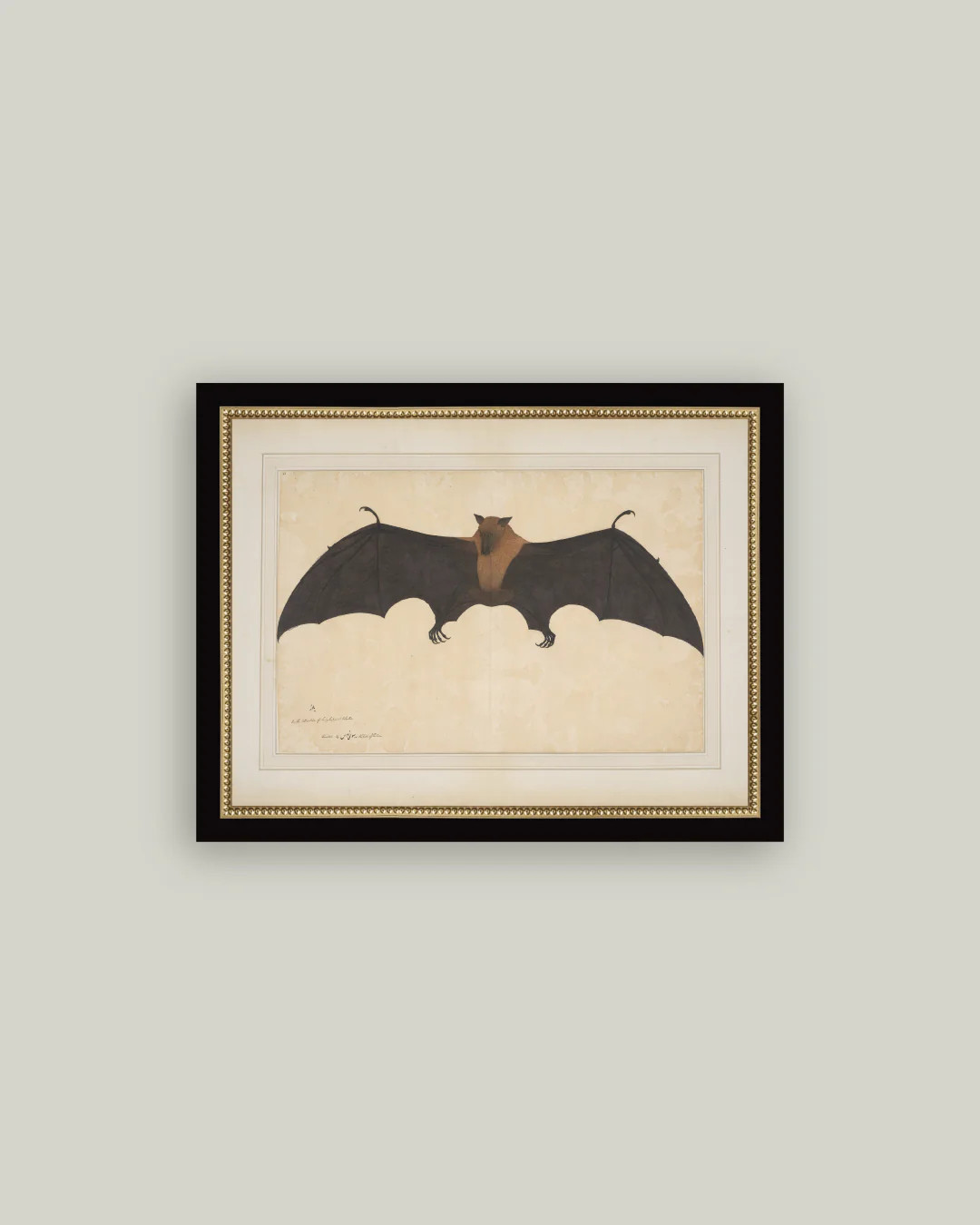 Spooky Bat | Petal Lane