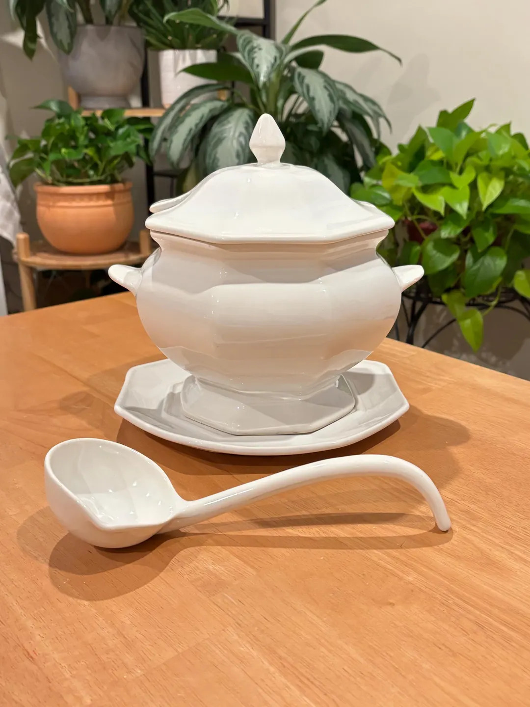 Vintage White Ironstone Soup Tureen with Lid, Ladle, and Underplate | Etsy (US)