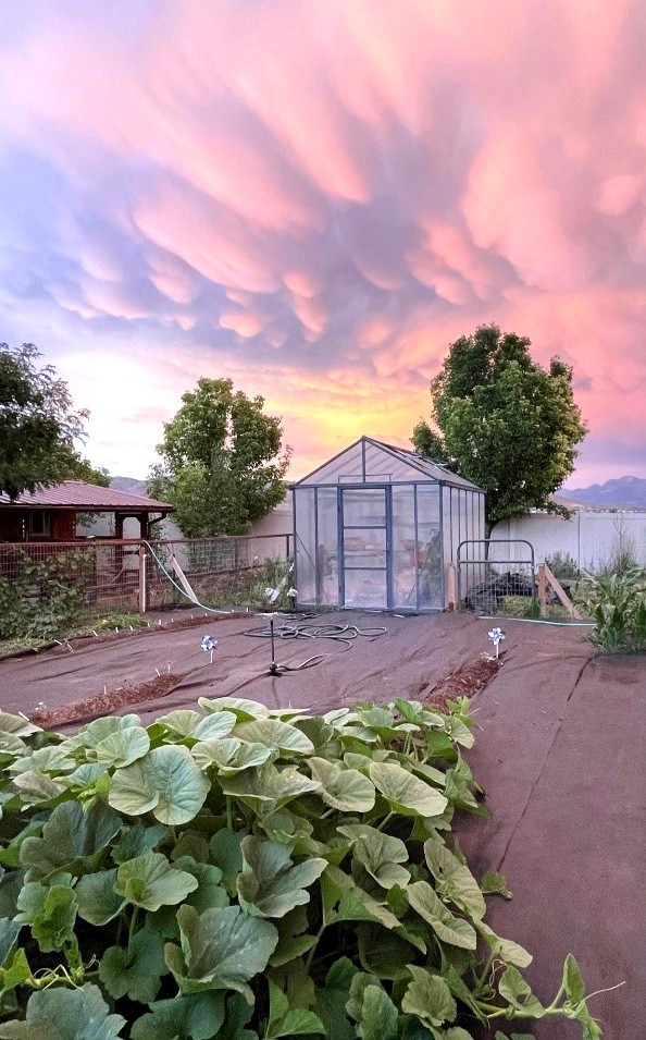 Proof that a greenhouse isn’t just functional—it’s a whole vibe 🌱✨ Days like these are on the horizon. 🌅 

#LTKdayinmylife #LTKSeasonal #LTKHome