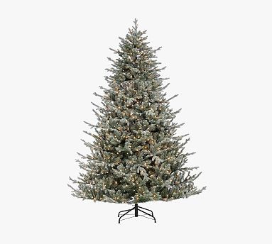 Lit Flocked Fir Faux Christmas Tree - 7.5 Ft. | Pottery Barn (US)