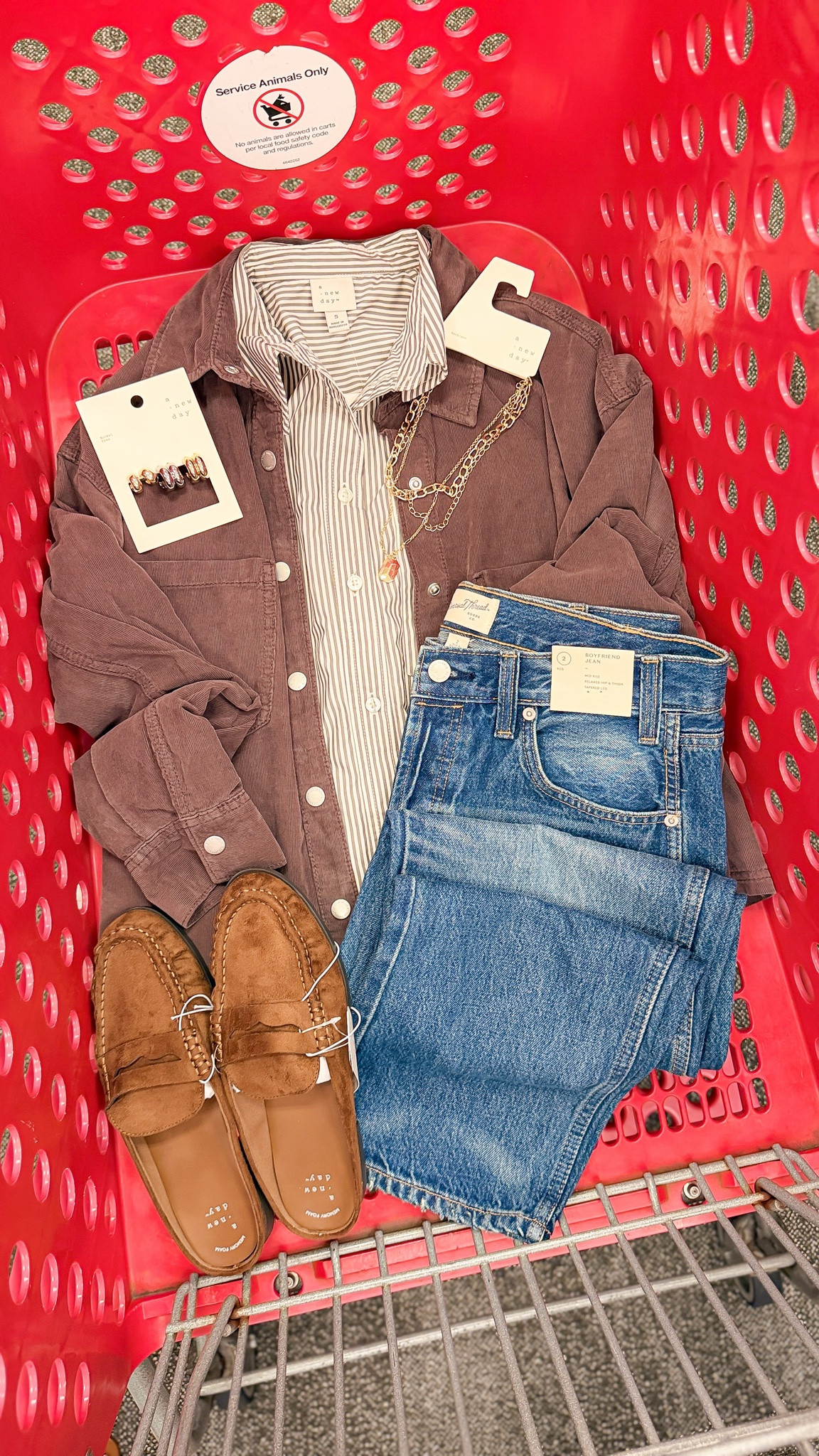 Fall & Winter Fashion! Target.