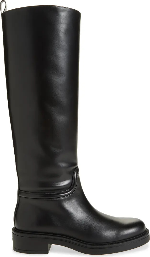 Stuart Weitzman Celia Riding Boot (Women) | Nordstrom | Nordstrom