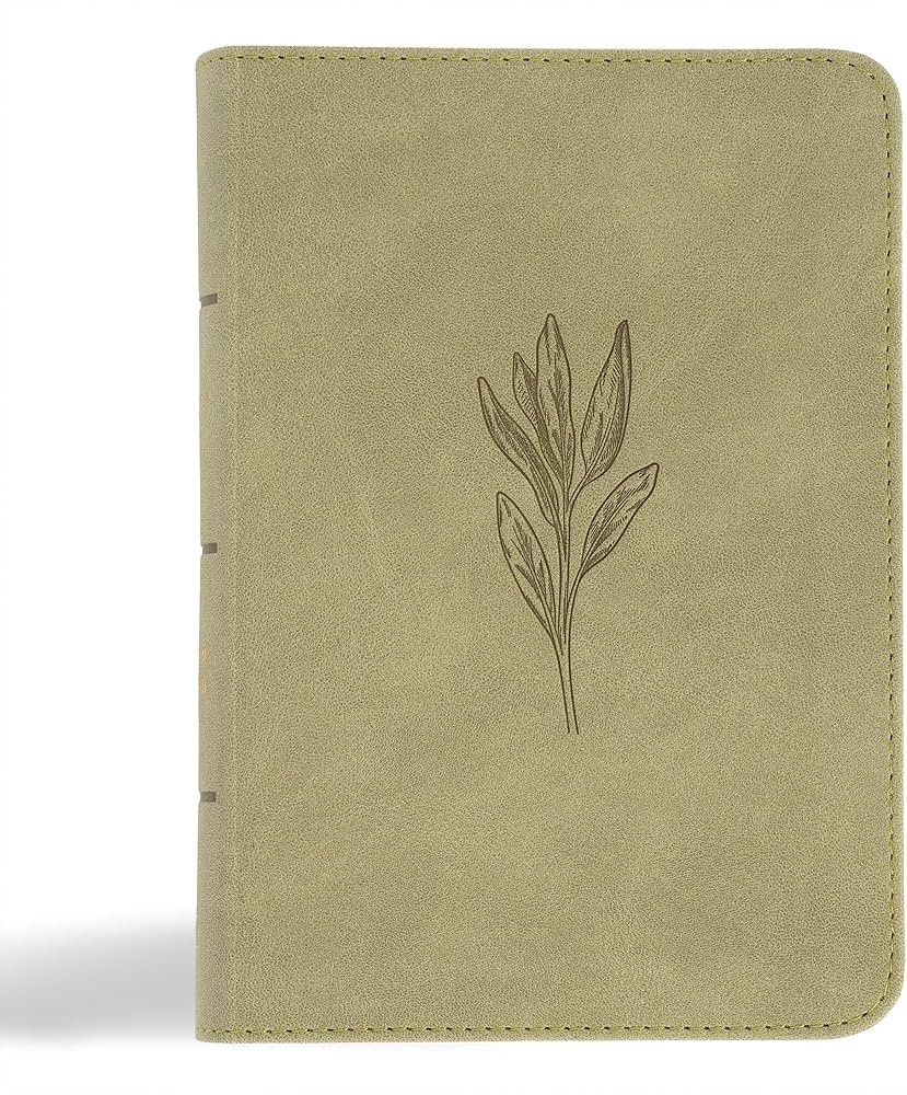 NASB Large Print Compact Reference Bible, Sage SuedeSoft LeatherTouch, Red Letter, Presentation P... | Amazon (US)