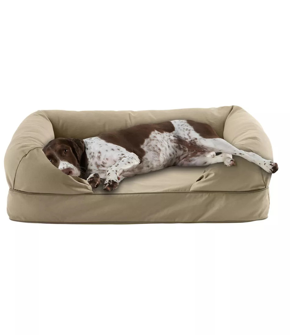 Therapeutic Dog Couch | L.L. Bean