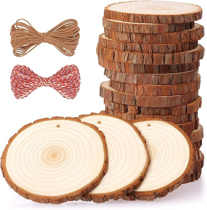 Fuyit Natural Wood Slices 20 Pcs 3.5-4 Inches Craft Wood Kit Unfinished Predrilled with Hole Wood... | Amazon (US)