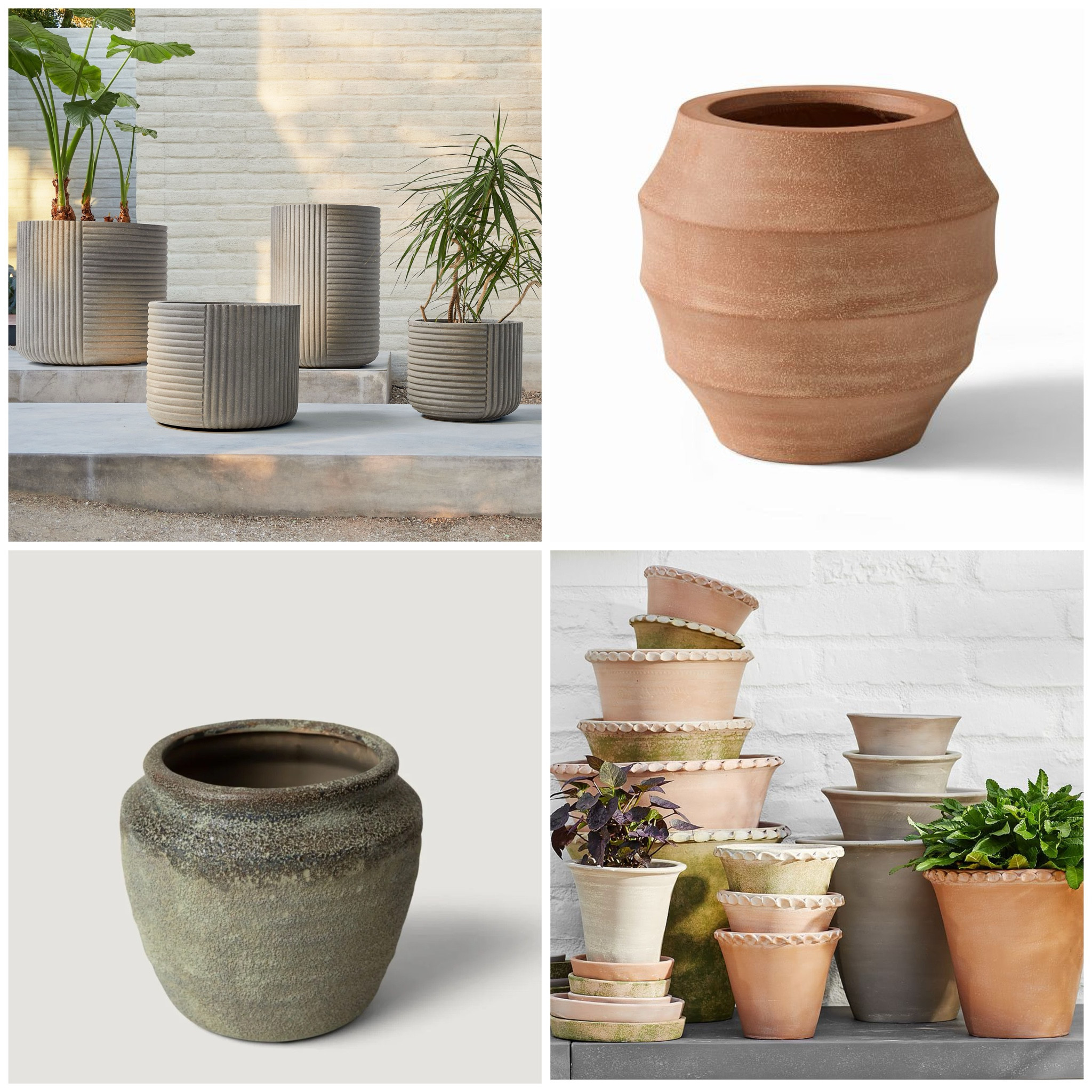 These pots will make any of your plants beautiful

#LTKhome #LTKSpringSale #LTKSeasonal